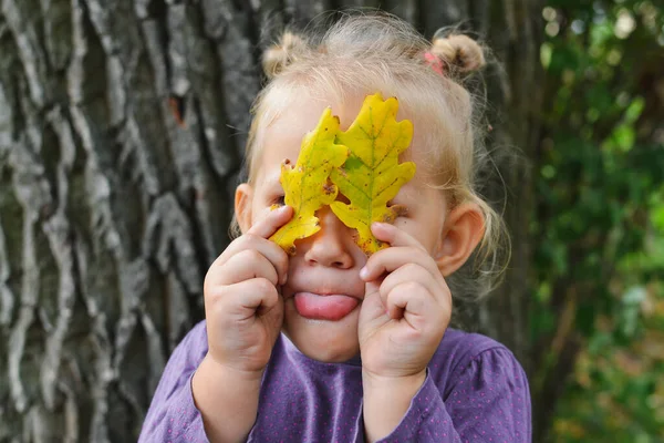 Menina Bebê Bonito Feliz Brincando Com Folhas Livre Retrato Outono — Fotografia de Stock