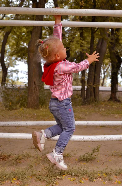 Egy Aranyos Kislány Játszik Játszótéren Egy Őszi Napon Baba Lóg — Stock Fotó