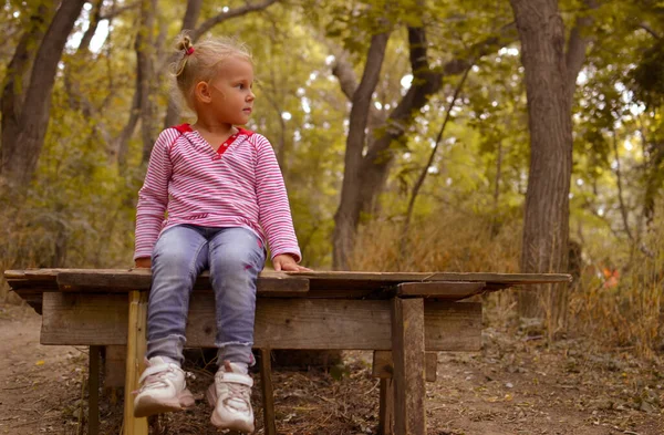 Baby Zit Alleen Een Houten Brug Een Herfstpark Buiten Herfst — Stockfoto