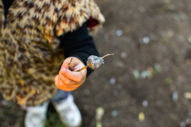 Çocuk sonbaharda doğada oynar. Bir çocuğun elinde bir taş ve bir dal.