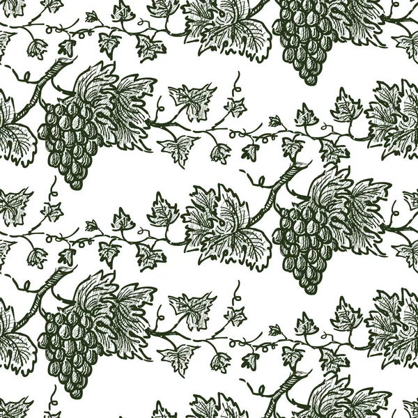 成熟藤蔓草图的无缝背景 — 图库矢量图片