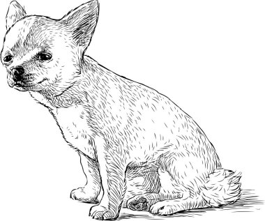 Komik oturma kucak köpeği taslağını