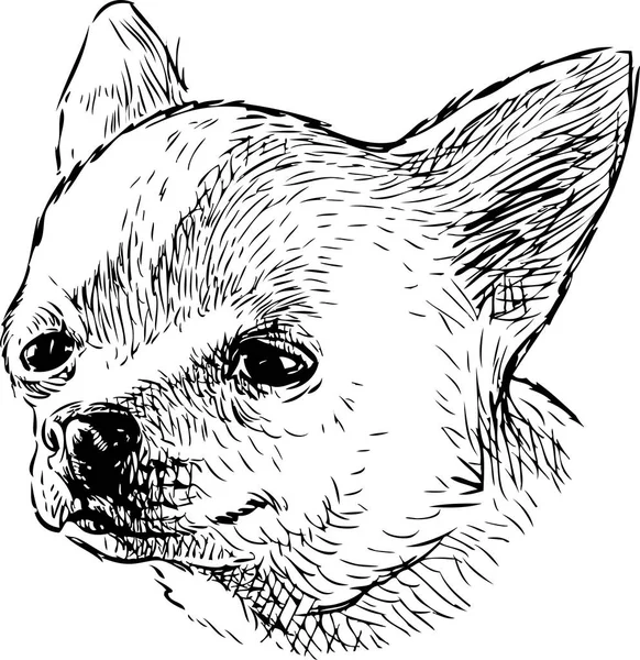 Скетч Портрет Забавной Собачки — стоковый вектор