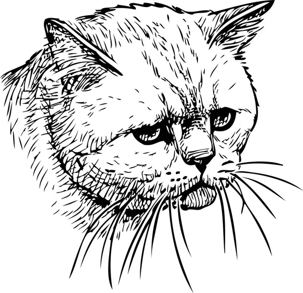 Retrato Gato Triste — Vector de stock