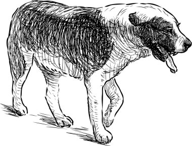 Yürüyen bir köpek bir kroki