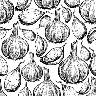 Çizimler olgun sarımsak ve sorunsuz arka plan