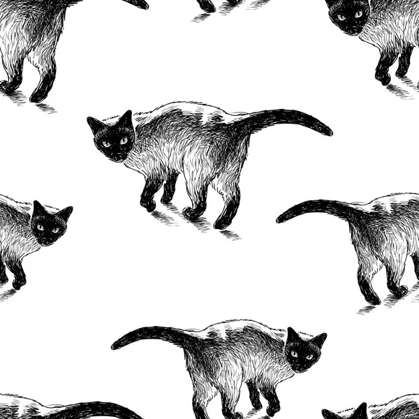 Sömlös Bakgrund Skisser Siamese Katt — Stock vektor