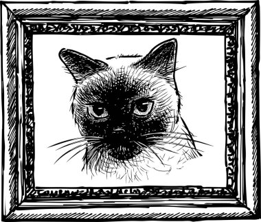 Tay bir kedi bir kroki portresi