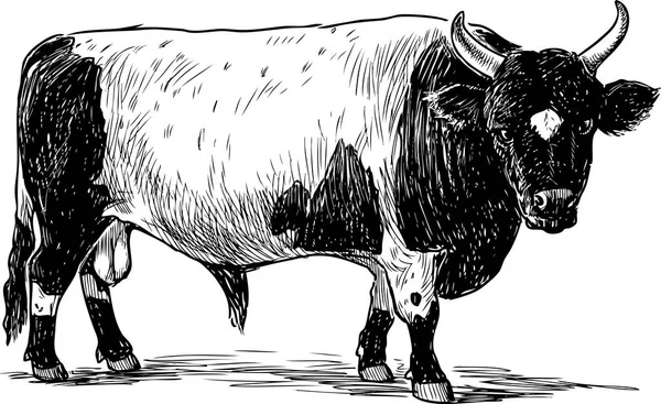 Eine Handzeichnung Eines Großen Gefleckten Bullen — Stockvektor
