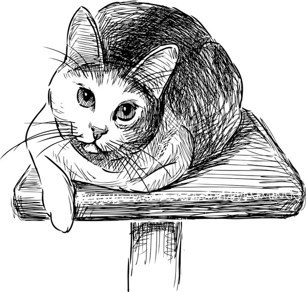 Домашний Кот Лежит Полке — стоковый вектор