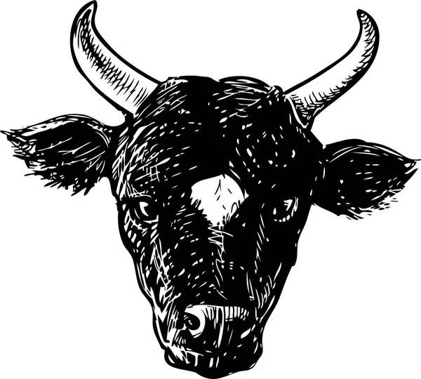 Dibujo Vectorial Cabeza Toro Negro — Vector de stock