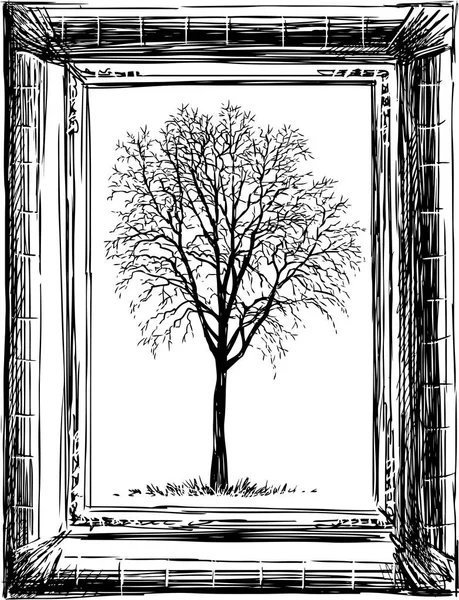 Imagen Vectorial Boceto Árbol Marco Viejo — Archivo Imágenes Vectoriales