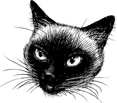 Vektör çizim bir Tay kedi Başkanı