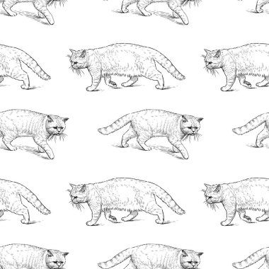 Eski kedi geziniyor çizimler ve seamless modeli
