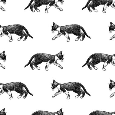 Yürüyen kedi yavrusu vektör desen