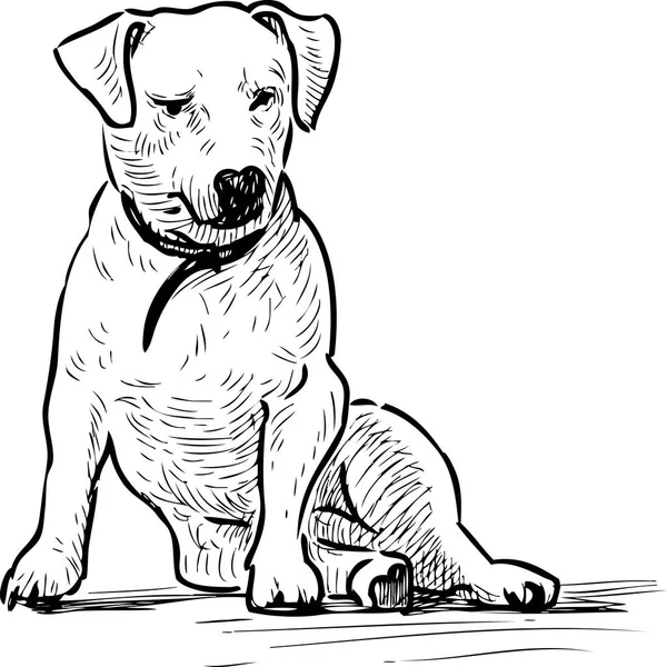 Σκίτσο Του Έναs Ποδιά Σκύλοs Συνεδρίαση — Διανυσματικό Αρχείο