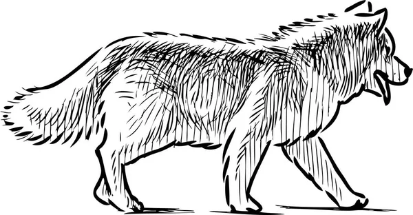 Sketch Strolling Guard Dog — Stock Vector