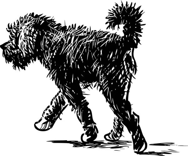 Black Shaggy Dog Goes Stroll — Stock Vector