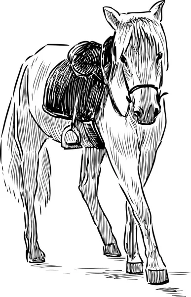 Skizze Eines Angeschirmten Pferdes — Stockvektor
