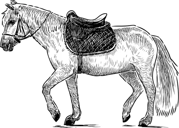 Croquis Cheval Harnaché Marche — Image vectorielle