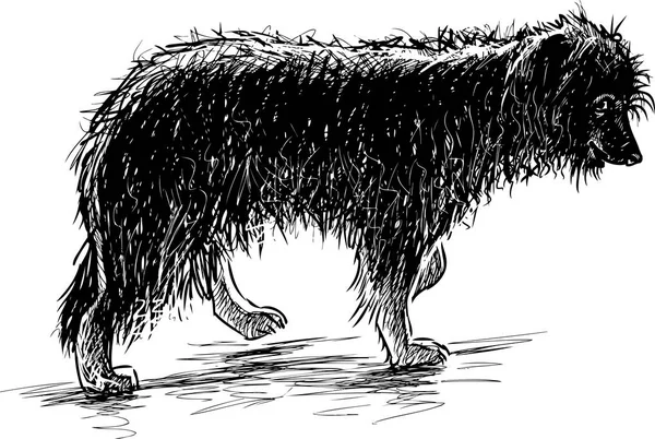 毛茸茸的滑稽狗的素描 — 图库矢量图片
