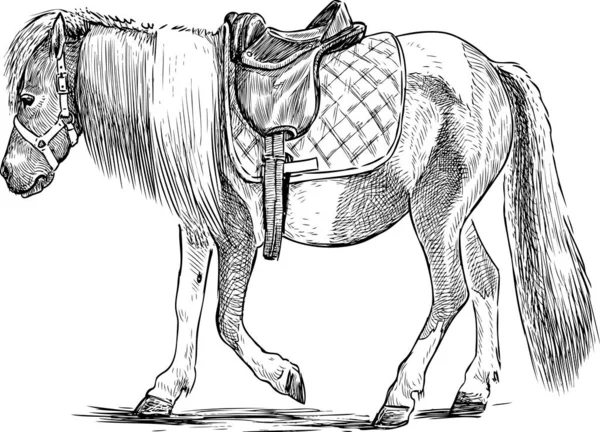 Croquis Poney Harnaché Fatigué — Image vectorielle