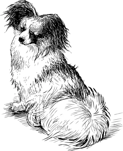 Ескіз Пухнастої Собаки Колінах — стоковий вектор
