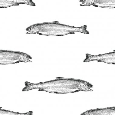 Deniz somonu skeçlerinin kusursuz deseni