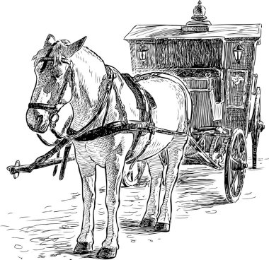 Bir Vintage taşıma için harnessed beyaz bir at kroki