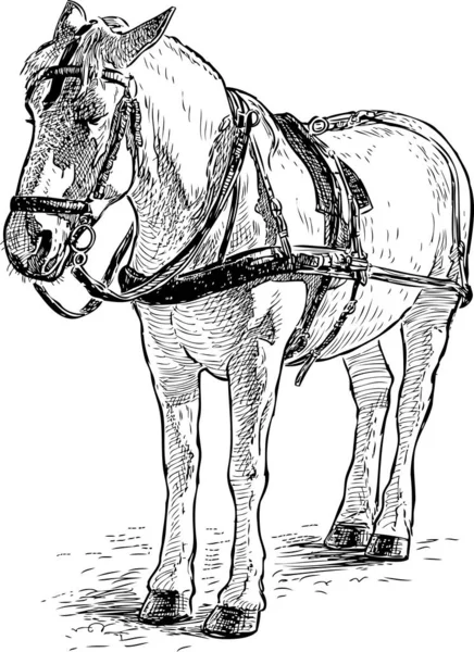 Esboço Cavalo Branco Chicote Fios —  Vetores de Stock