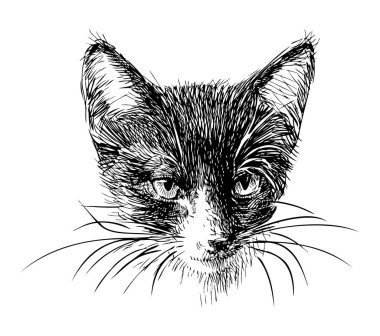 Küçük siyah beyaz evcil kedi yavrusunun robot resmi.