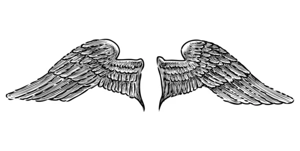 2羽のワシの翼のフリーハンド図面 — ストックベクタ
