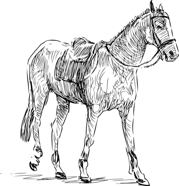 Croquis Cheval Harnaché Marche — Image vectorielle