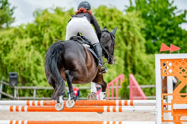 Détail Cheval Compétition Saut Obstacles — Photo