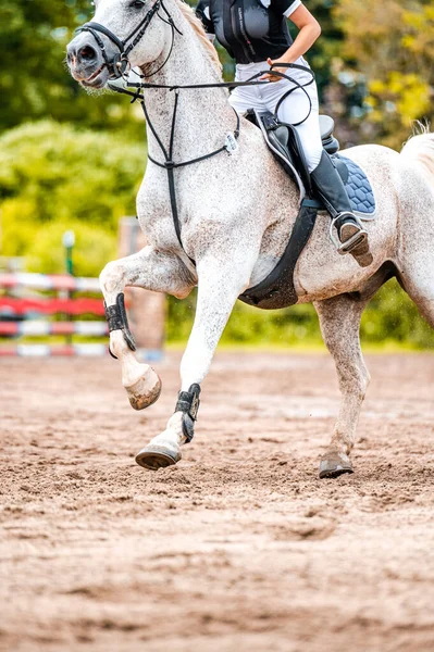 Részlet Lóversenyről Lóugró Versenyen Lótartozékok Nyereg Kantár Kengyelek Közeli Fotója — Stock Fotó