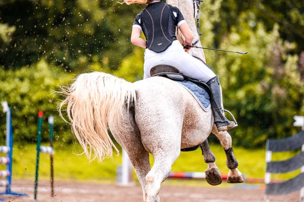 Detail Vom Pferd Während Des Springreitturniers Nahaufnahme Foto Von Pferdezubehör — Stockfoto