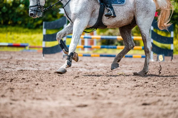 Λεπτομέρεια του αλόγου κατά τη διάρκεια άλογο showjumping διαγωνισμό. Κοντινές φωτογραφίες από αξεσουάρ αλόγων, σέλα, χαλινάρι, αναβολείς. — Φωτογραφία Αρχείου