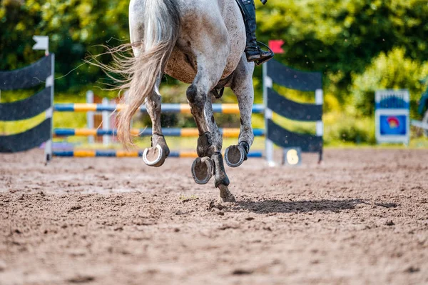 Detalhe do cavalo durante a competição de salto de cavalo. Fechar foto de acessórios de cavalo, sela, freio, estribos . — Fotografia de Stock