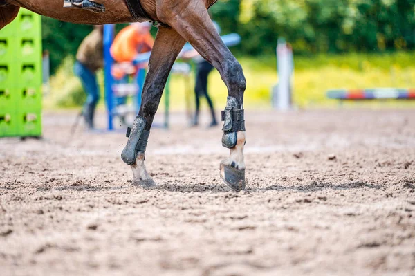 Λεπτομέρεια του αλόγου κατά τη διάρκεια άλογο showjumping διαγωνισμό. Κοντινές φωτογραφίες από αξεσουάρ αλόγων, σέλα, χαλινάρι, αναβολείς. — Φωτογραφία Αρχείου