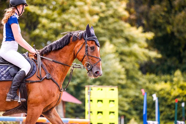 Λεπτομέρεια Του Αλόγου Κατά Διάρκεια Άλογο Showjumping Διαγωνισμό Κοντινές Φωτογραφίες — Φωτογραφία Αρχείου