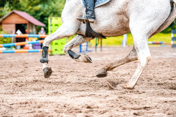 Detalhe Cavalo Durante Competição Salto Cavalo Fechar Foto Acessórios Cavalo — Fotografia de Stock