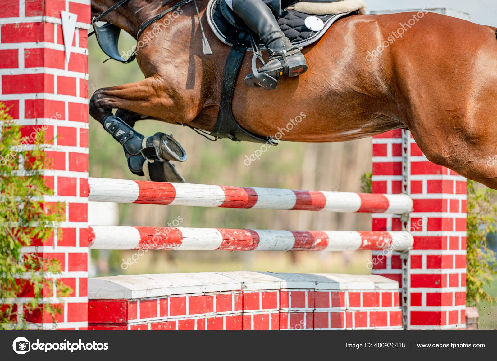 Foto de Cavalo Pulando Obstáculos Durante O Treinamento De Escola