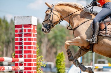 Yazın yapılan gösteri atlama yarışmasının ayrıntıları. At hareketinin yakın plan ayrıntıları.
