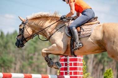 Yazın yapılan gösteri atlama yarışmasının ayrıntıları. At hareketinin yakın plan ayrıntıları.