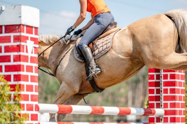 Yazın yapılan gösteri atlama yarışmasının ayrıntıları. At hareketinin yakın plan ayrıntıları.