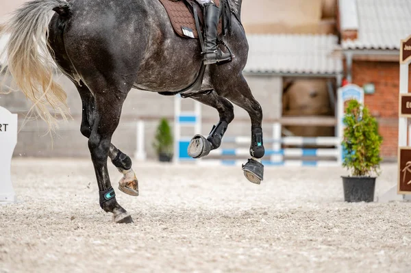 Detalhe Dos Cascos Cavalo Competição Showjumping — Fotografia de Stock