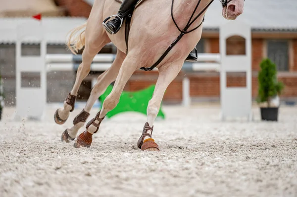 Detalhe Dos Cascos Cavalo Competição Showjumping — Fotografia de Stock