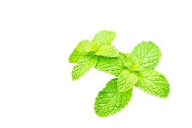 Nane uzun sağlık yararları için kullanılan doğal bir bitkidir. Ayrıca hastalıkların tedavisi için bir halk ilaç olarak kullanılır.