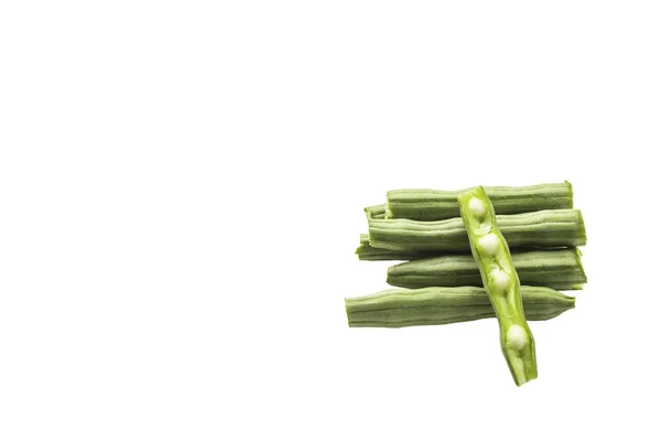 Moringa Kapseln — Stockfoto