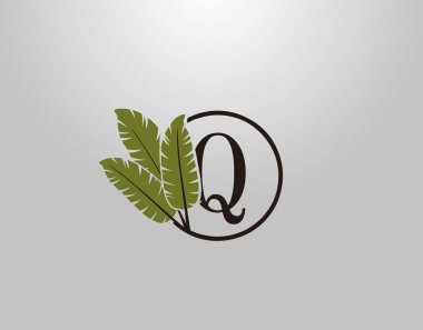 Q Harfi Logosu Doğa Yaprağı, vektör logosu konsepti botanik çiçek yaprağı ve doğa işi için ilk harf logosu simgesi.